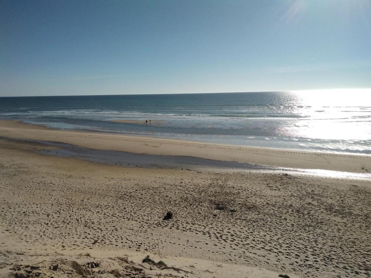 מלון Naujac-sur-Mer Zenzela Surf House מראה חיצוני תמונה